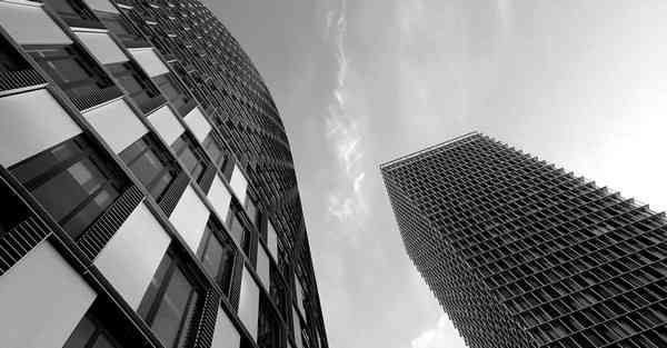 外国语单招大数据的行业文章