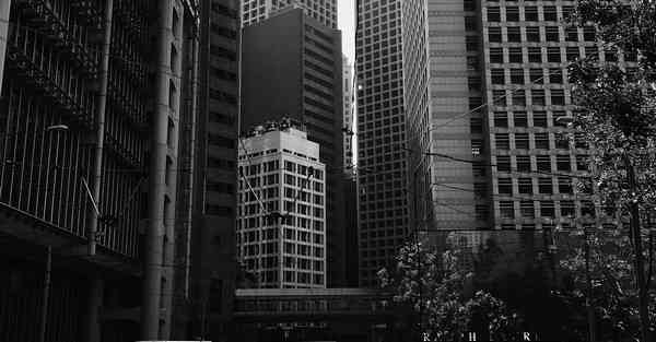 外国语单招大数据的行业文章