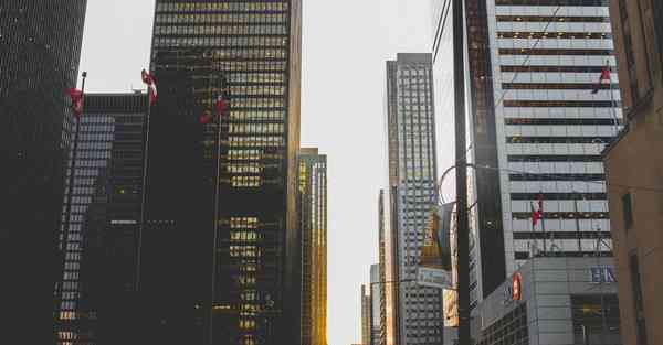 德国的人工智能机器生产者