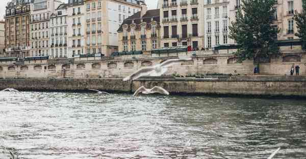 大数据下的工业互联网（大数据下的工业互联网龙头）