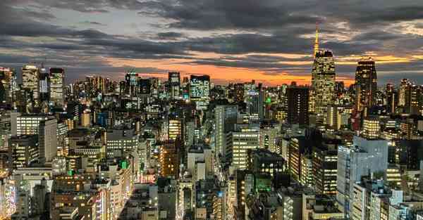 国内十大人工智能机器人