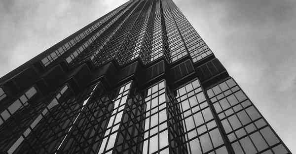 外国语单招大数据的行业文章