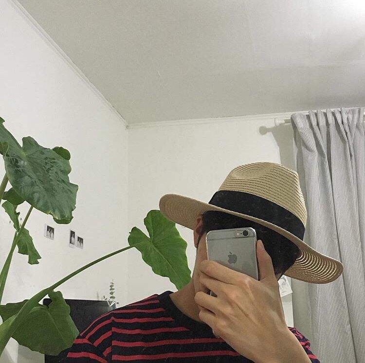 霍明菡菡