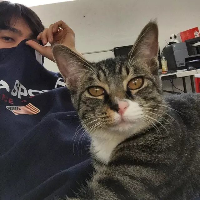 庞梅娣骅