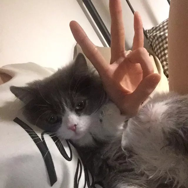 公孙贝薇洁