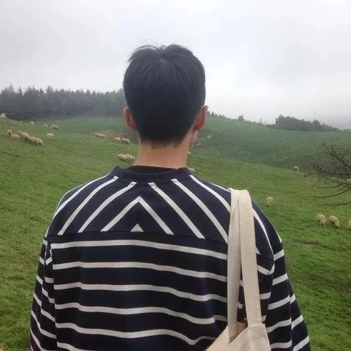 孔德雨莺