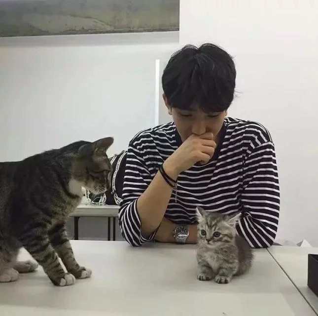 仇凝芳豪